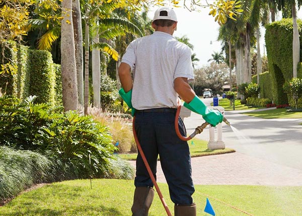 About Troy PA Pest Control
